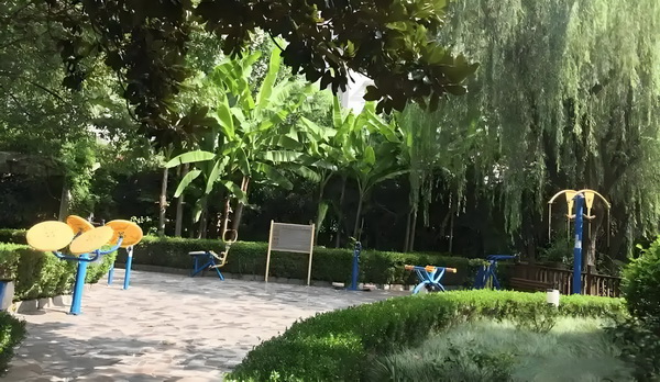 落深圳户口条件_佟丽娅儿子正脸曝光，五官气质超像爸爸 还包报、佟丽娅儿月报括周
